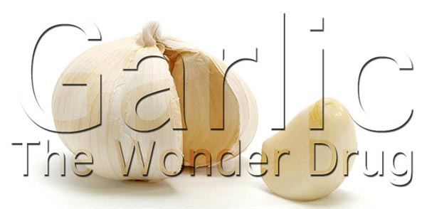 Many Benefits of Crushed Raw Garlic, The Wonder Drug